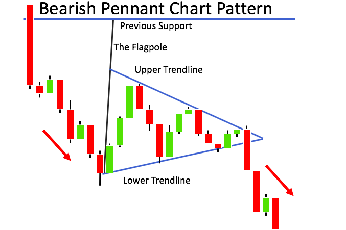 Bear pennant